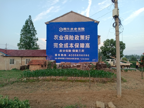 峨山墙体广告的优劣势你知道吗？